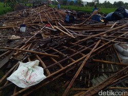 Kandang Roboh dan Ayam Mati Tersapu Angin Ribut di Boyolali
