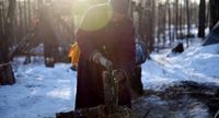 Suku Dukha hanya hidup dari hutan (Taylor Weidman/BBC Capital)