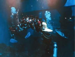 Seru! Tarian Naga Dalam Air Meriahkan Imlek di Jakarta Aquarium