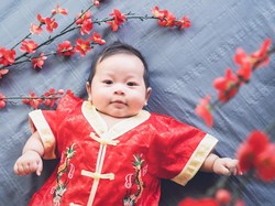 Karakter Anak yang Lahir di Tahun Babi Tanah