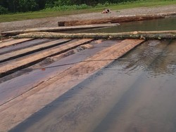 Ratusan Batang Kayu Olahan Disita dari Lokasi Pembalakan Liar di Aceh