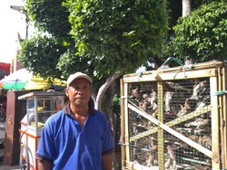 Cerita Tradisi Pelepasan Burung Pipit Saat Tahun Baru Imlek