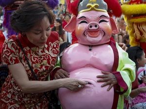 Kemeriahan Menyambut Tahun Babi di Berbagai Tempat di Dunia