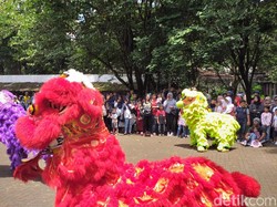 Menengok Atraksi Barongsai di antara Satwa Kebun Binatang Bandung