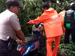 Pohon Tumbang Timpa Motor di Jalan Gerbang Pemuda Senayan