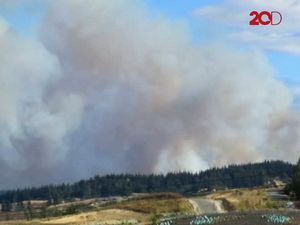 Video Asap Tebal Akibat Kebakaran Hutan di Selandia Baru