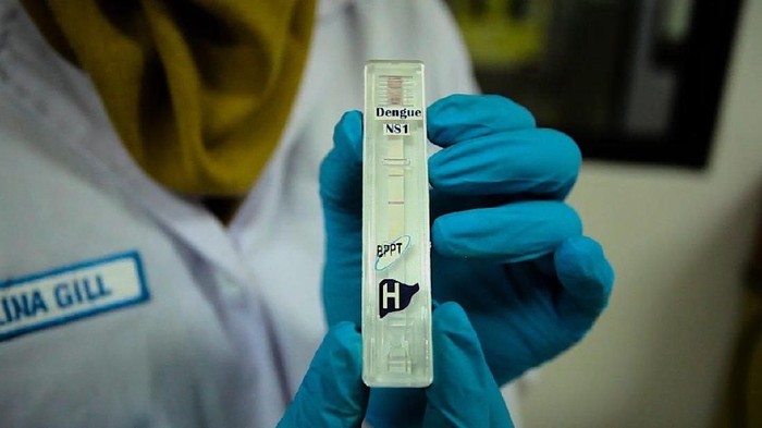 Alat harus dipakai dengan penampingan tenaga medis sebab mereka yang akan menyarankan obat atau terapi yang sempurna jika terdeteksi DBD. Foto: Dok. Humas BPPT Alat harus dipakai dengan penampingan tenaga medis sebab mereka yang akan menyarankan obat atau terapi yang sempurna jika terdeteksi DBD. Foto: Dok. Humas BPPT