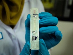 Dibilang Mirip Test Pack, Begini Cara Kerja Kit Pendeteksi DBD Buatan BPPT