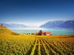 Berencana Solo Traveling? Ini 5 Negara Eropa Paling Aman untuk Dikunjungi