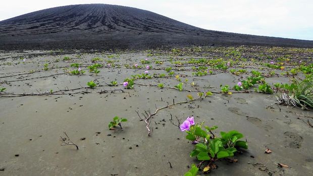 Peneliti NASA Temukan Pulau Baru Hasil Letusan Gunung Api di