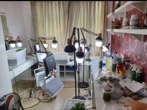 Tanam Ganja di Apartemen Tanah Abang, WN Amerika Ditangkap