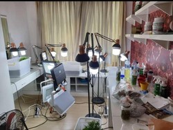 Tanam Ganja di Apartemen Tanah Abang, WN Amerika Ditangkap