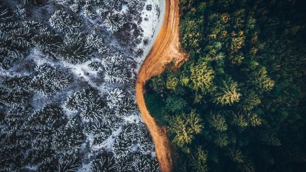 Potret dari Udara Keindahan Kota Asal Drakula di Timur Eropa