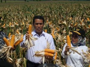 Ketua MPR Akui Prestasi Mentan Genjot Ekspor