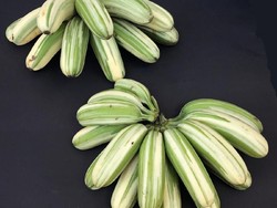 Makanan Jepang 1.000 Tahun dan Pisang Varigata yang Unik
