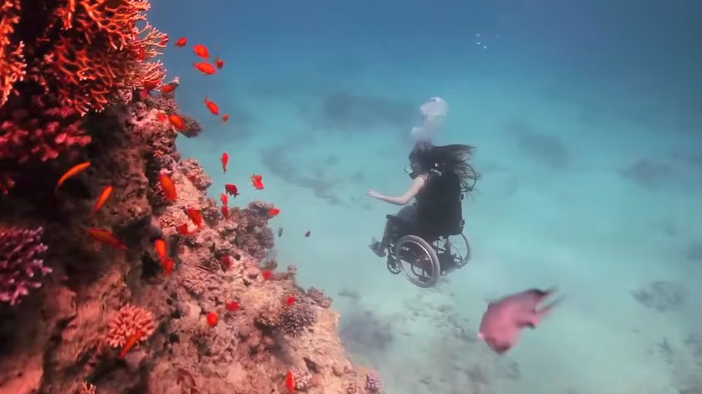 Terpana Melihat Pemandangan Bawah Laut, Menyelam di Atas Kursi Roda