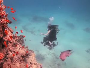 Terpana Melihat Pemandangan Bawah Laut, Menyelam di Atas Kursi Roda Terpana Melihat Pemandangan Bawah Laut, Menyelam di Atas Kursi Roda