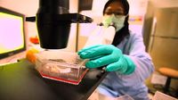 Penampakan Test Pack Diagnosis DBD yang Viral di Medsos