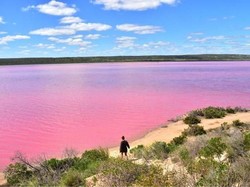 Di Australia Ada Danau Pink yang Bisa Berubah Warna, Penasaran?