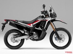 Wajah Baru Honda CRF250RALLY