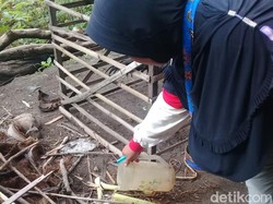 Dinkes Kabupaten Blitar Sebut Hanya 51% Rumah Bebas Jentik