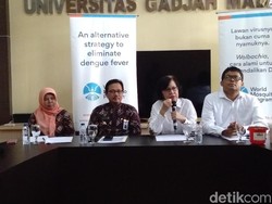Awal Tahun 2019, Kasus DBD di Yogya Meningkat