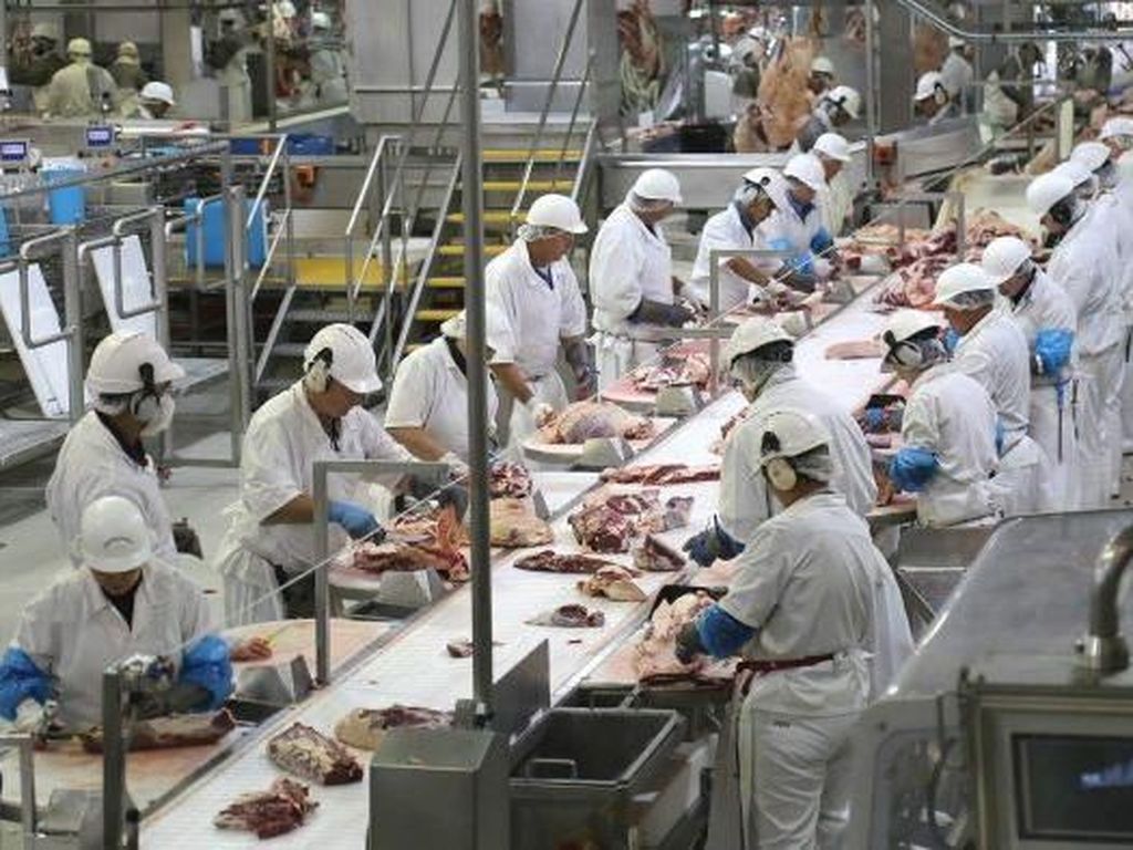 Ngeri... 1.553 Pekerja Pabrik Daging di Wilayah Ini Positif Corona Ngeri... 1.553 Pekerja Pabrik Daging di Wilayah Ini Positif Corona
