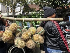 Demam Durian di China Percepat Deforestasi di Malaysia, Kok Bisa?