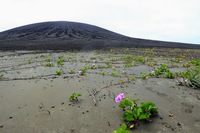 Pulau vulkanis misterius di sekitar Tonga. Foto: NASA