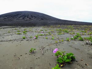 Pulau Baru Ini Bikin Heran Ilmuwan NASA, Kenapa?