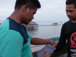 Aruna, Aplikasi untuk Bantu Nelayan RI Ekspor Komoditas Laut ke AS