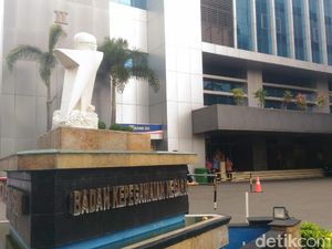 BKN Buka Program Magang Mahasiswa dan Fresh Graduate, Buruan Daftar!