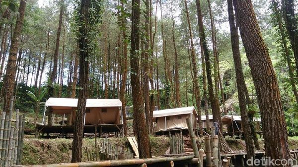 Foto: Tempat Glamping Seru di Purworejo
