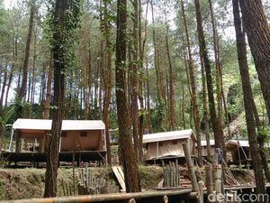 Foto: Tempat Glamping Seru di Purworejo