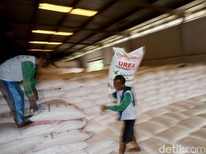 Petani Teriak Sulit Dapat Pupuk Subsidi, Kementan Buka Suara