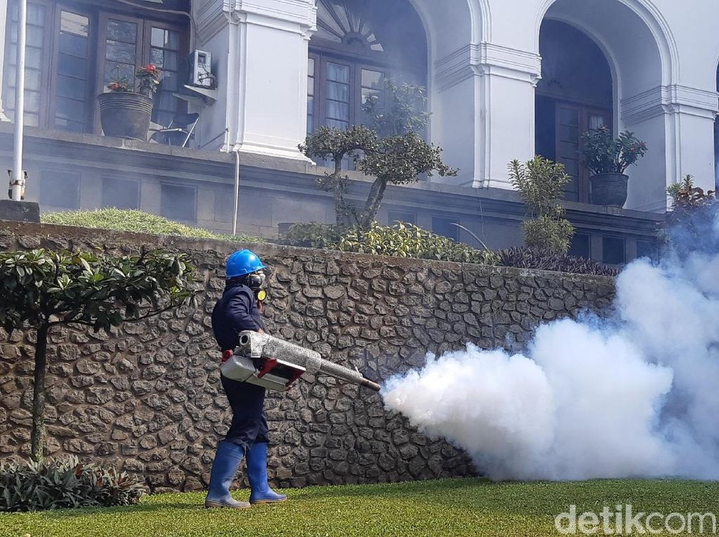 DBD Meningkat di Jabar, Fogging tak Bisa Sembarangan DBD Meningkat di Jabar, Fogging tak Bisa Sembarangan