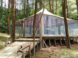 Rayakan Valentine Lewat Glamping DLoano di Purworejo