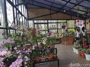 10 Tempat Wisata Menarik di Bandung