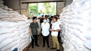 Cek Gudang Pupuk, Rini Pastikan Stok Aman hingga 3 Bulan