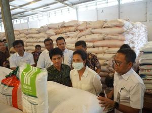 Rini Pastikan Stok Pupuk Subsidi Aman hingga Akhir Musim Tanam