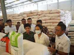 Rini Pastikan Stok Pupuk Subsidi Aman hingga Akhir Musim Tanam