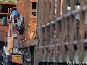 Aksi Nekat Menumpang Truk Lintas Pantura