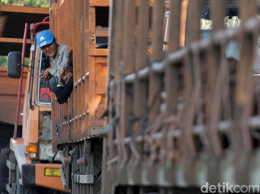 Aksi Nekat Menumpang Truk Lintas Pantura Aksi Nekat Menumpang Truk Lintas Pantura