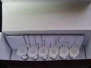 Cara Kerja Kit Deteksi Kanker Payudara Buatan LIPI