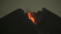 Lava Pijar Meluncur dari Puncak Merapi