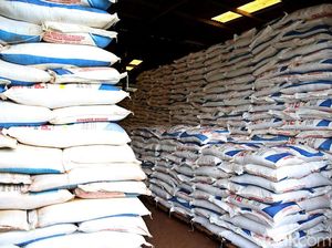 Jelang Musim Tanam, Stok Pupuk di Jatim Dijamin Aman