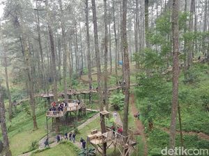 Liburan Dadakan ke Bandung, ke Orchid Forest Saja Yuk