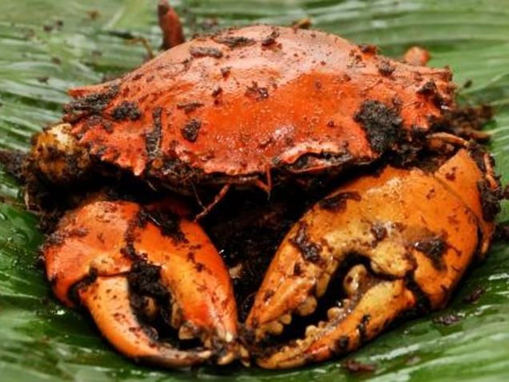 Mantap! Akhir Pekan Bisa Makan Kepiting Asap di 5 Tempat Ini Mantap! Akhir Pekan Bisa Makan Kepiting Asap di 5 Tempat Ini