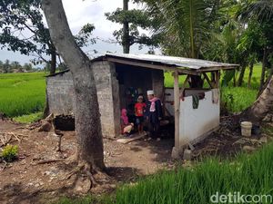 Pilu Keluarga Bakri, Masak Makanan Busuk Hasil Memulung Pilu Keluarga Bakri, Masak Makanan Busuk Hasil Memulung