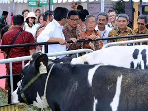 BRI Dorong Kredit Usaha Rakyat untuk Peternakan